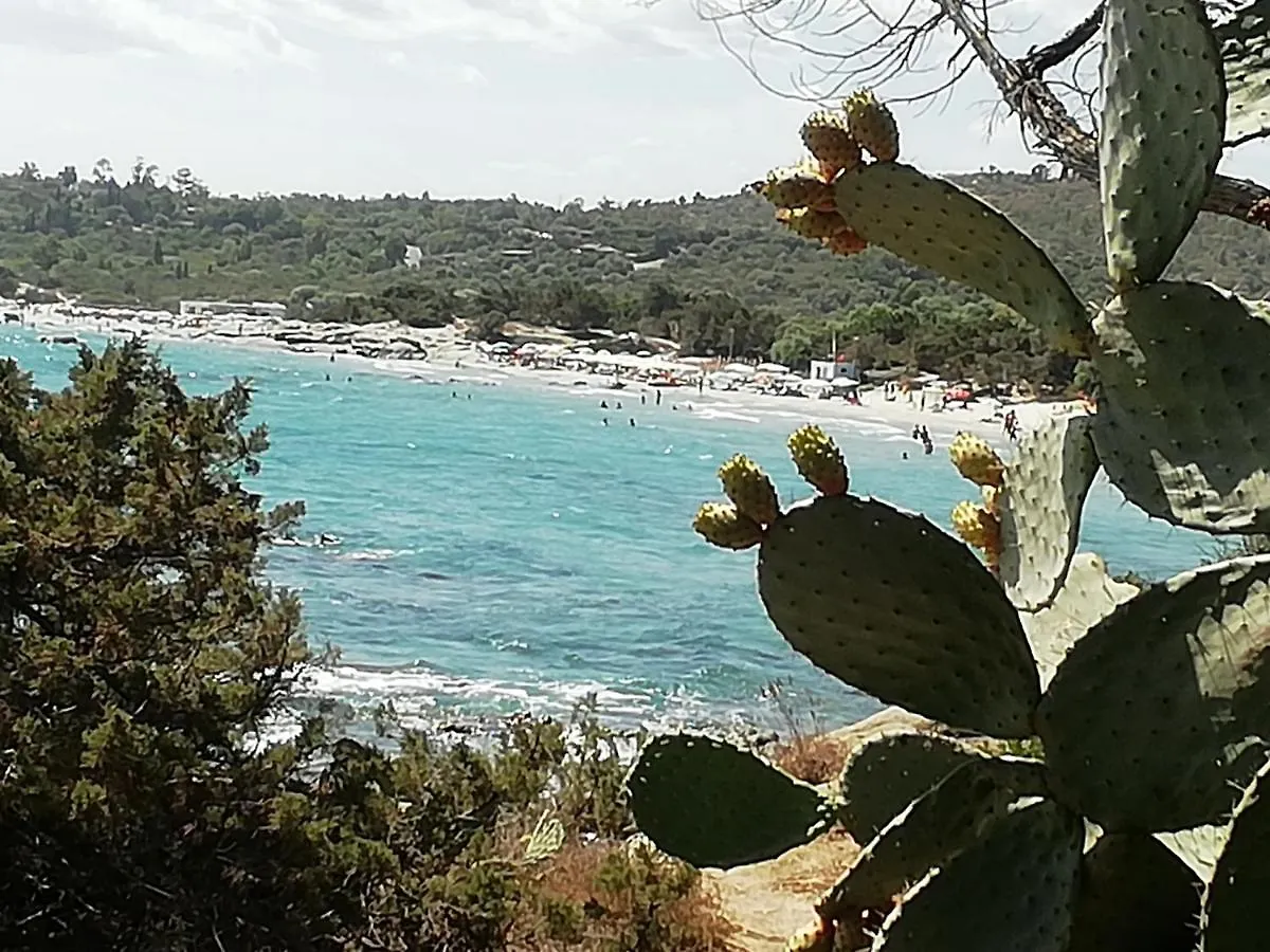 Holiday home Casa Vacanza Da Rosy Gonnosfanadiga
